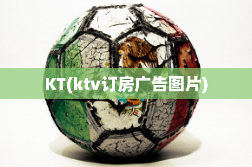 KT(ktv订房广告图片)