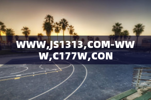 WWW,JS1313,COM-WWW,C177W,CON