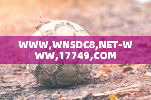 WWW,WNSDC8,NET-WWW,17749,COM